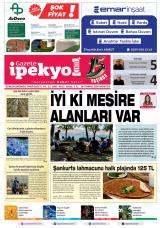 GAZETE İPEKYOL