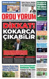 ORDU YORUM