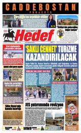 HEDEF