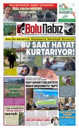 BOLU NABIZ
