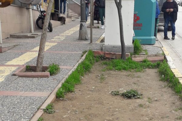 KALDIRIMLAR ÇİÇEKSİZ KALDI AĞAÇLARA SCOOTER BAĞLANDI