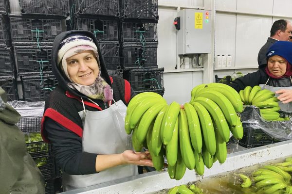 Gönen baldosundan sonra muzuyla raflarda