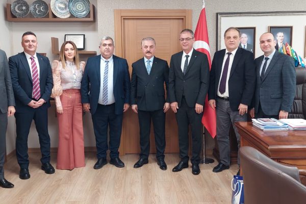 PLATFORMUN TALEBİNİ İLK DUYAN MHP OLDU