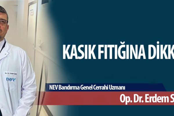 KASIK FITIĞINA DİKKAT!