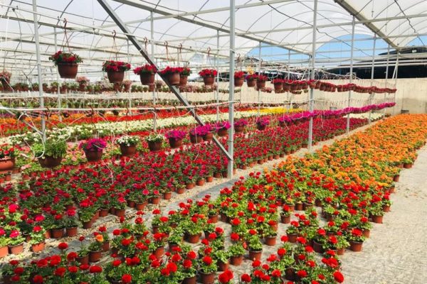 BALIKESİR’E İKİ YENİ TARIMA DAYALI ORGANİZE SANAYİ BÖLGESİ GELİYOR
