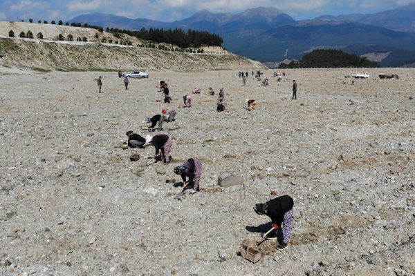 ESKİ MADEN SAHASI LAVANTA KOKACAK