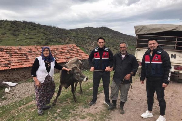 KURBANLIK HAYVANI ÇALANLARI JASAT YAKALADI