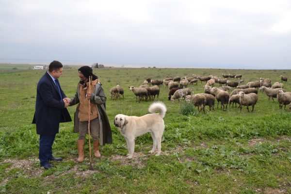 HARUN ALGÜL BÖLGEYİ KARIŞ KARIŞ GEZİYOR