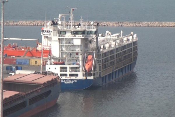 YÜZEN AHIR KABUSU GERİ DÖNDÜ