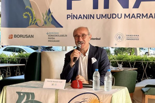 SARI: MARMARA DENİZİNİN UMUDU PİNALARDIR