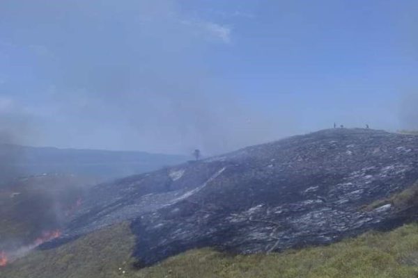 PAŞALİMANI ADASI’NDA YANGIN