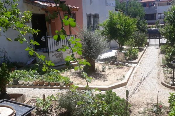 AÇ KALAN TİLKİLER ŞEHRE İNDİ