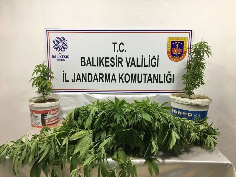Bandırma’da uyuşturucu madde imal ve ticaretine yönelik istihbari çalışmaları sonucu