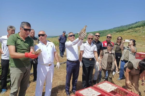 350 SÜLÜN VE KEKLİK DOĞAYA SALINDI