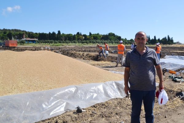 TMO HUBUBAT ALIMLARINA MERİNOS’TA DEVAM EDİYOR