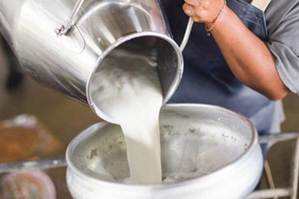 ÇİĞ SÜT FİYATI 11.5 TL’YE YÜKSELDİ
