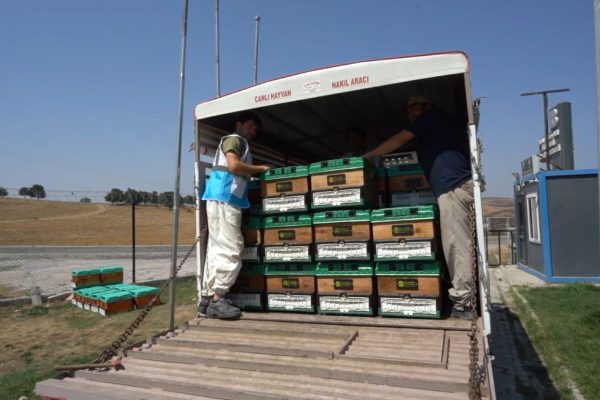 BÜYÜKŞEHİR ARICILARA DESTEK GELDİ