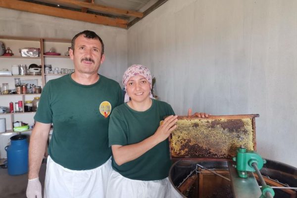 BANDIRMA’DA BAL HASADI BAŞLADI
