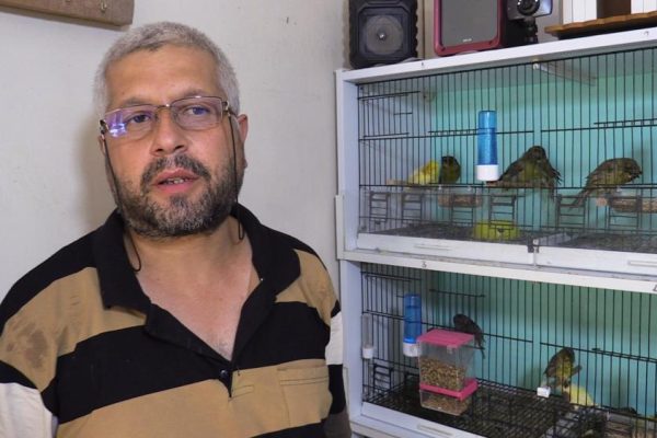 HOBİ OLARAK BAŞLAMIŞTI