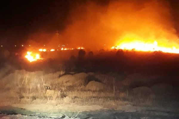 ARAÇTA BAŞLADI, ORMANLIK ALANA SIÇRADI!