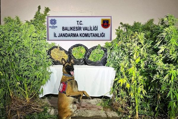 BALIKESİR’DE ORGANİZE SUÇ OPERASYONU : 36 GÖZALTI VAR