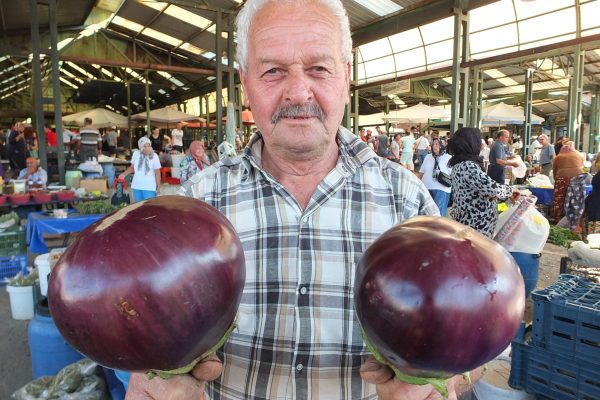BÖYLESİ GÖRÜLMEDİ… HER BİRİ NEREDEYSE BİR KARPUZ BÜYÜKLÜĞÜNDE…