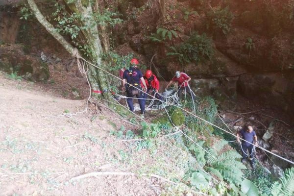 MAĞARAYA DÜŞEN DANAYI İTFAİYE KURTARDI