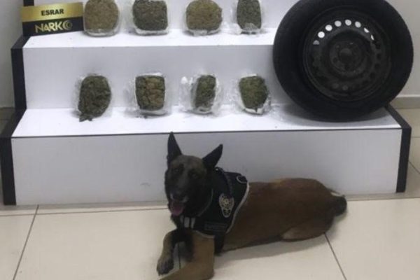 UYUŞTURUCU TACİRLERİ CASH’İN DİKKATİNDEN KAÇAMADI