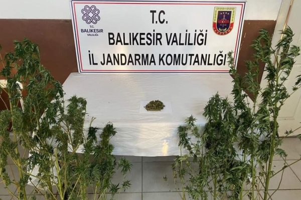 KENEVİR YETİŞTİRİLEN EVE BASKIN