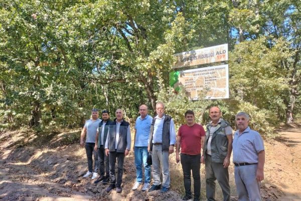 MEŞE AĞAÇLARI KORUMA ALTINA ALINDI
