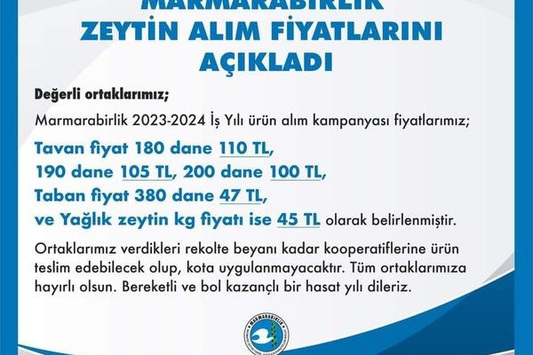 MARMARABİRLİK ZEYTİN ALIM FİYATLARINI AÇIKLADI