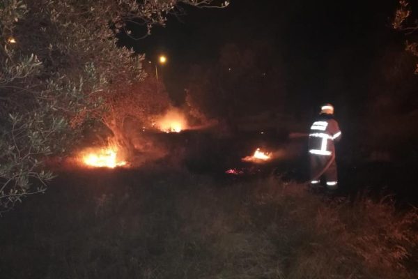 ZEYTİNLİK ALANINDAKİ YANGIN BÜYÜMEDEN SÖNDÜRÜLDÜ