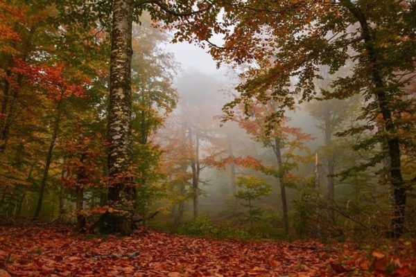 BALIKESİR’E TEMİZ HAVA CARİ FAZLALIK VERDİ