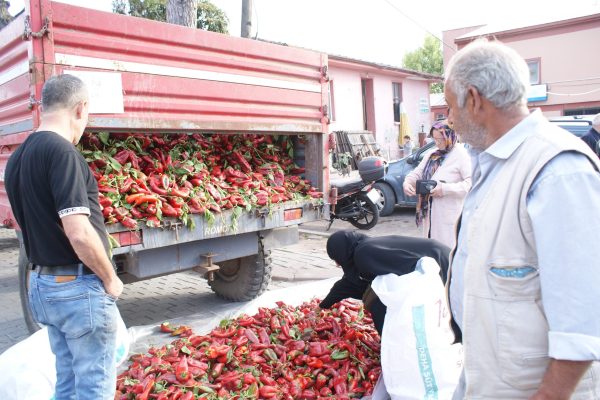 KİLOSU 10 LİRADAN SATILINCA VATANDAŞ KAPIŞTI