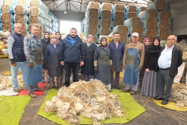 KUZU YÜNÜ GELİR KAYNAKLARI OLDU