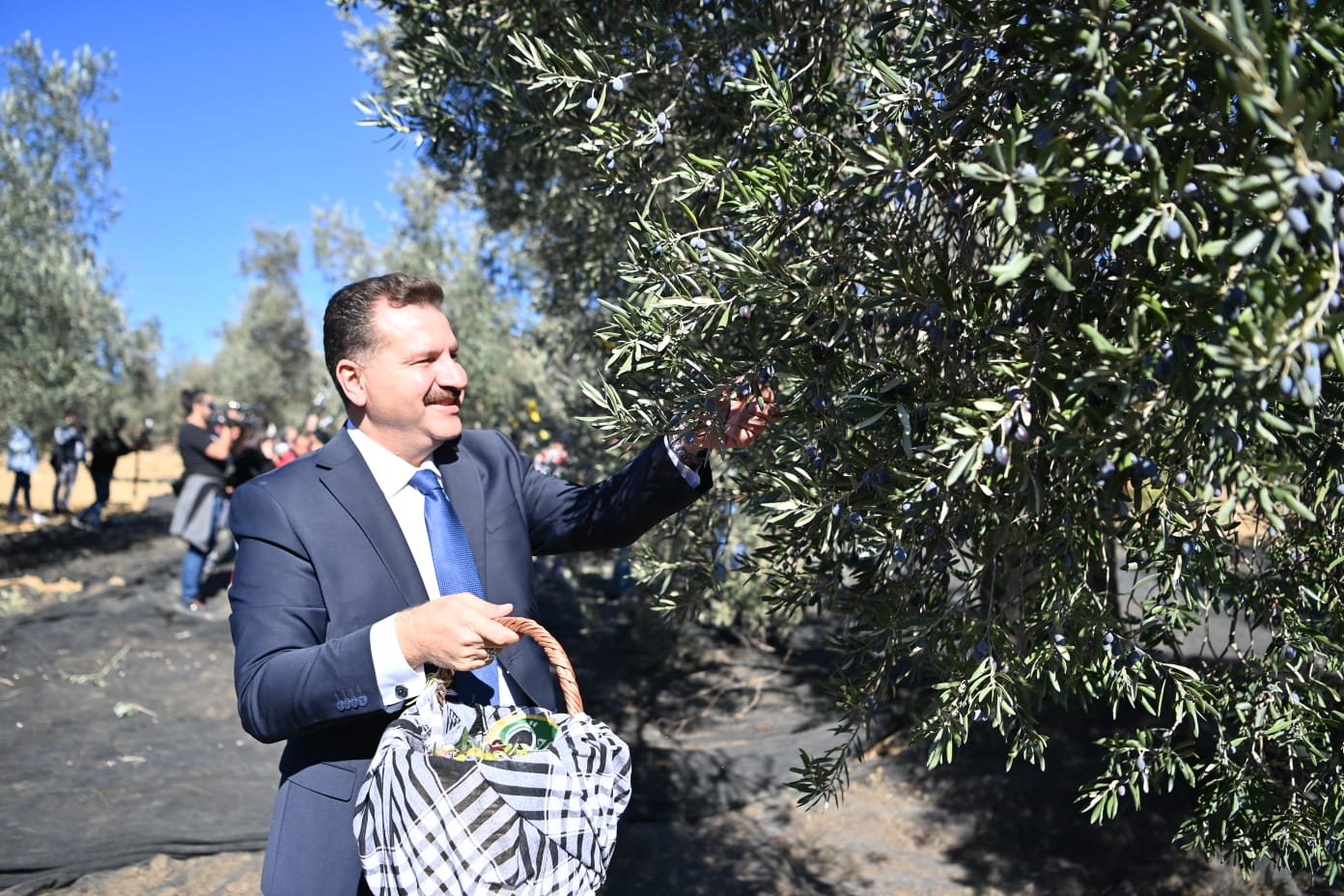 14 milyon zeytin ağacıyla Türkiye’nin en büyük zeytin üretim merkezlerinden