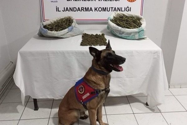 27 ŞÜPHELİYE ORGANİZE SUÇ OPERASYONU