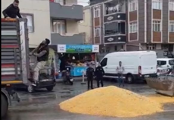 AÇILAN DORSA KAPAĞINDA BUĞDAYLAR YOLA SAÇILDI