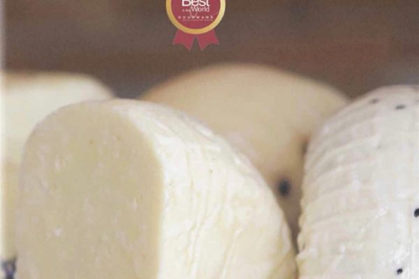 ZEYTİN VE EKMEK KİTAPLARI DÜNYA KİTAP YARIŞMASINDA