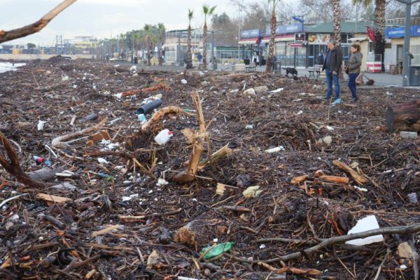 ALTINKUM SAHİLİ AĞAÇ VE ÇÖP İŞGALİNE UĞRADI