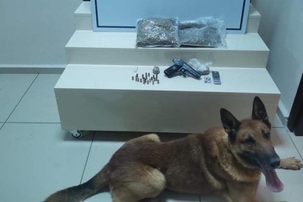 BANDIRMA’DA HELYUS’TAN KAÇIŞ YOK
