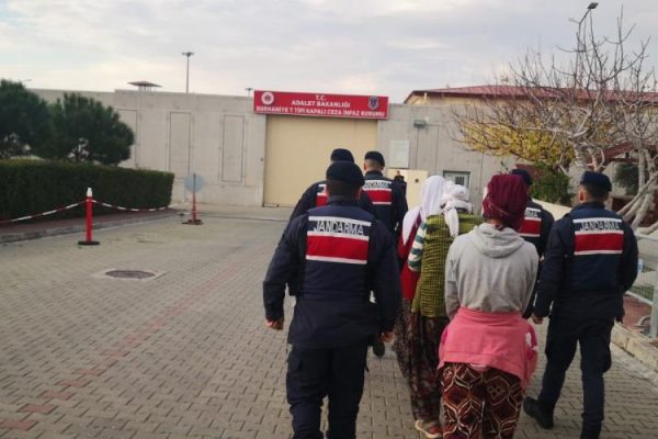 ZEYTİN HIRSIZLARINA SUÇÜSTÜ