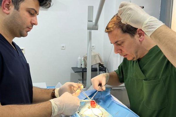 TALİHSİZ KEDİNİN TEDAVİSİ SÜRÜYOR