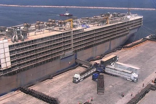 ANGUS GEMİLERİ 2024 YILINDA DA BANDIRMA’YA GELMEYE DEVAM EDECEK