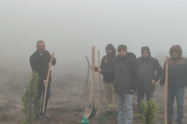 TİCARET BORSASI 12 BİN FİDANI TOPRAKLA BULUŞTURDU