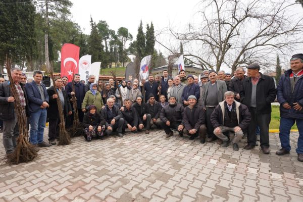 BÜYÜKŞEHİRDEN ÇİFTÇİYE  FİDAN DESTEĞİ
