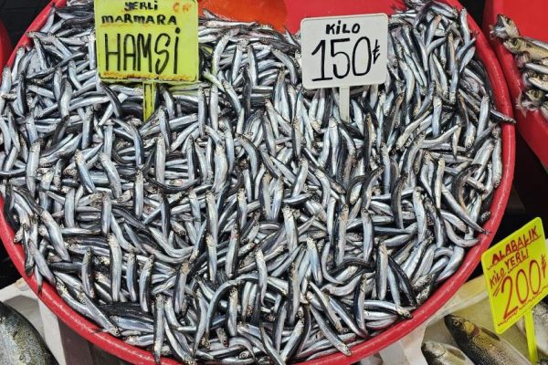 HAMSİNİN KİLOSU 150 LİRA
