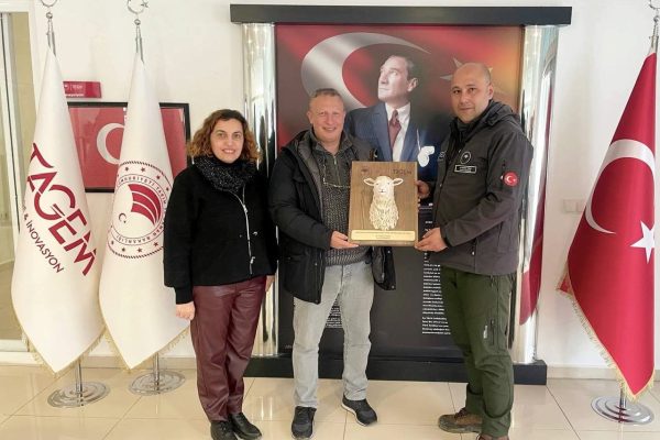 MERİNOS KOÇU REKOR PARAYA ALICI BULDU