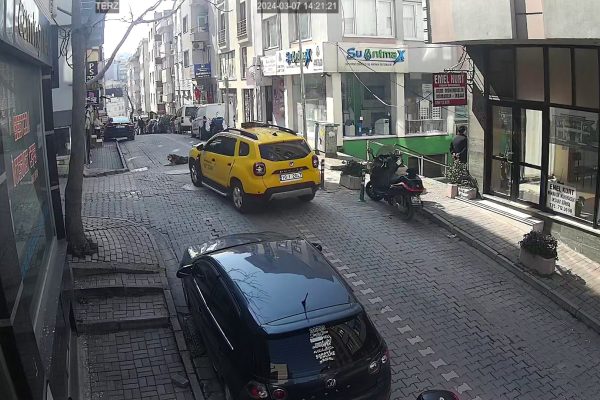 YOL ÜSTÜNDE YATAN KÖPEĞİN ÜSTÜNDEN GEÇTİ