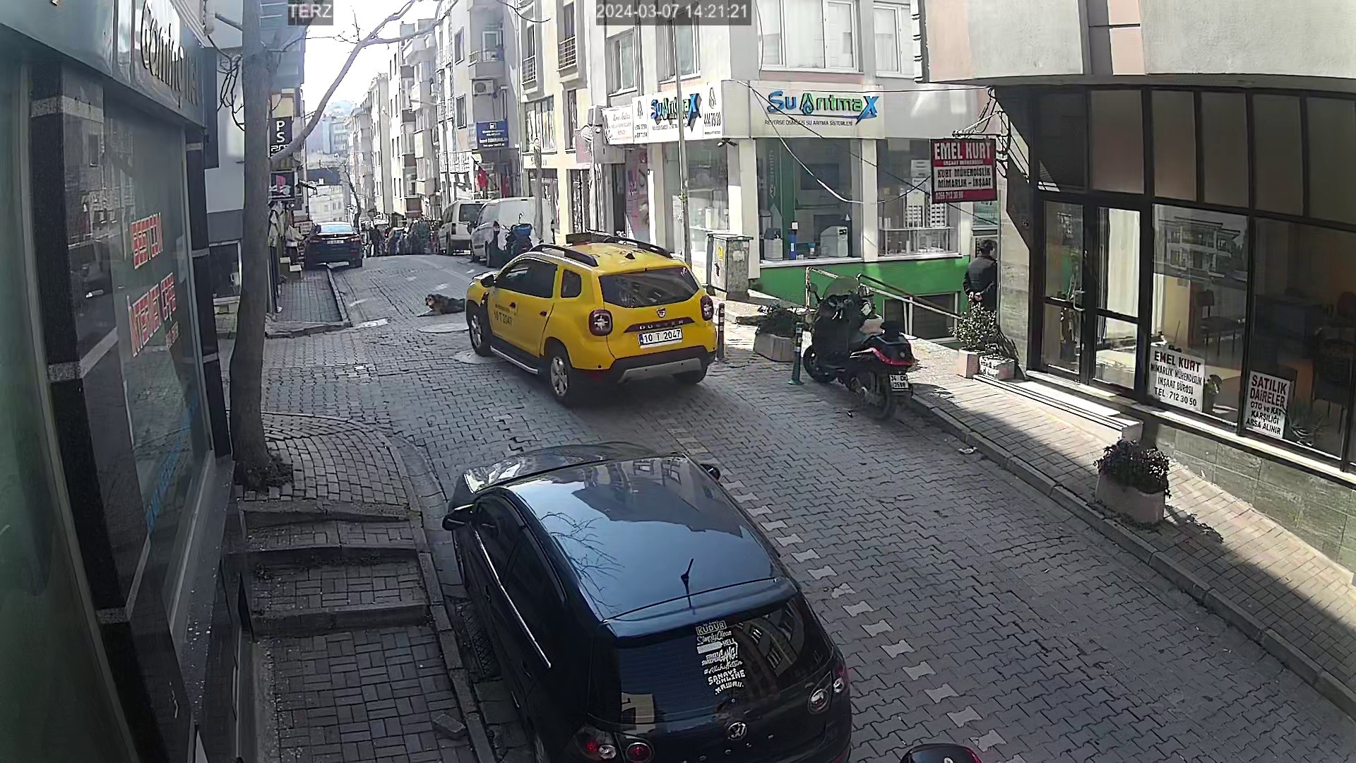 Bandırma’da ticari taksi göz göre göre yol üzerinde uzanan köpeğin